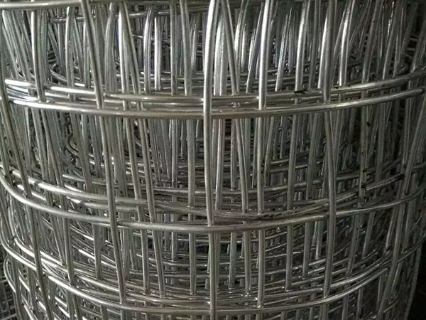 煤礦經緯金屬網圖片2