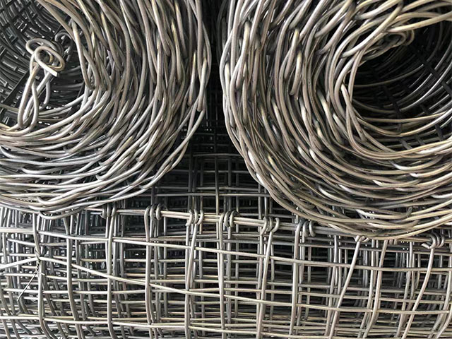 鍍鋅經(jīng)緯網(wǎng)圖片1